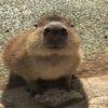 teddiii.bear_