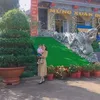 oanhoanh3301