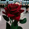 user7340261743227