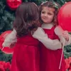 7belv