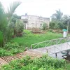 lavong2560
