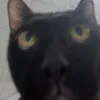 hihihahahohomeomeogaau