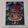 jigmedrukdra31