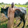 rufaiyusuf1