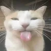 kiran.pngg