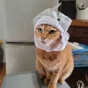 dy2w34qivcfy