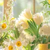 mrygrc.lyn45