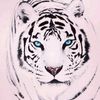 yousrahakim1111