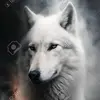 jhovanyjg01