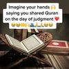 mhammed5256