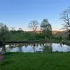 tom_mann3