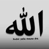 diop_pogba_610