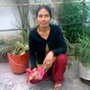balkumaripachhai