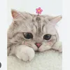 duyen2506