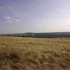 nn_nonamett