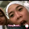 gilankdwi339
