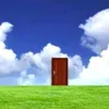 sandy_8994