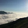 ecrinbeyazal