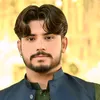 syedmajidalishah514