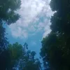 goofyandreifix
