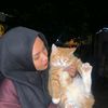 pradinaz.lutfhi
