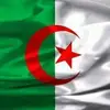 user7706003871637