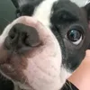 thinhbeopro