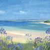 _adi_the_blue