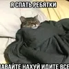 mr_zalupkin1488