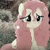 caslluve