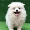 user5v46b7f9uz