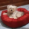 mariacaputo641