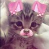 .mikhaii_