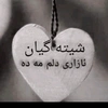 marwanhamed5692