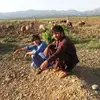 farwana786