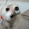tina42003