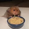 socramk007