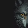 mehran_rajput007