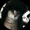 gatoson