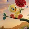 danielreyes7331