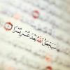 habibaabdelhamed94