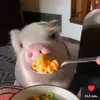 piggybankero