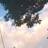 oosho6