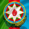 fuadmecidovmail.ru