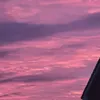 nyahcampbell882