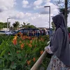 ania_asihku