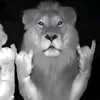 juancarlossabinocastro1