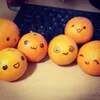 frvitywal