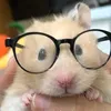 jerry_hoang0