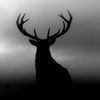abudallah_6674